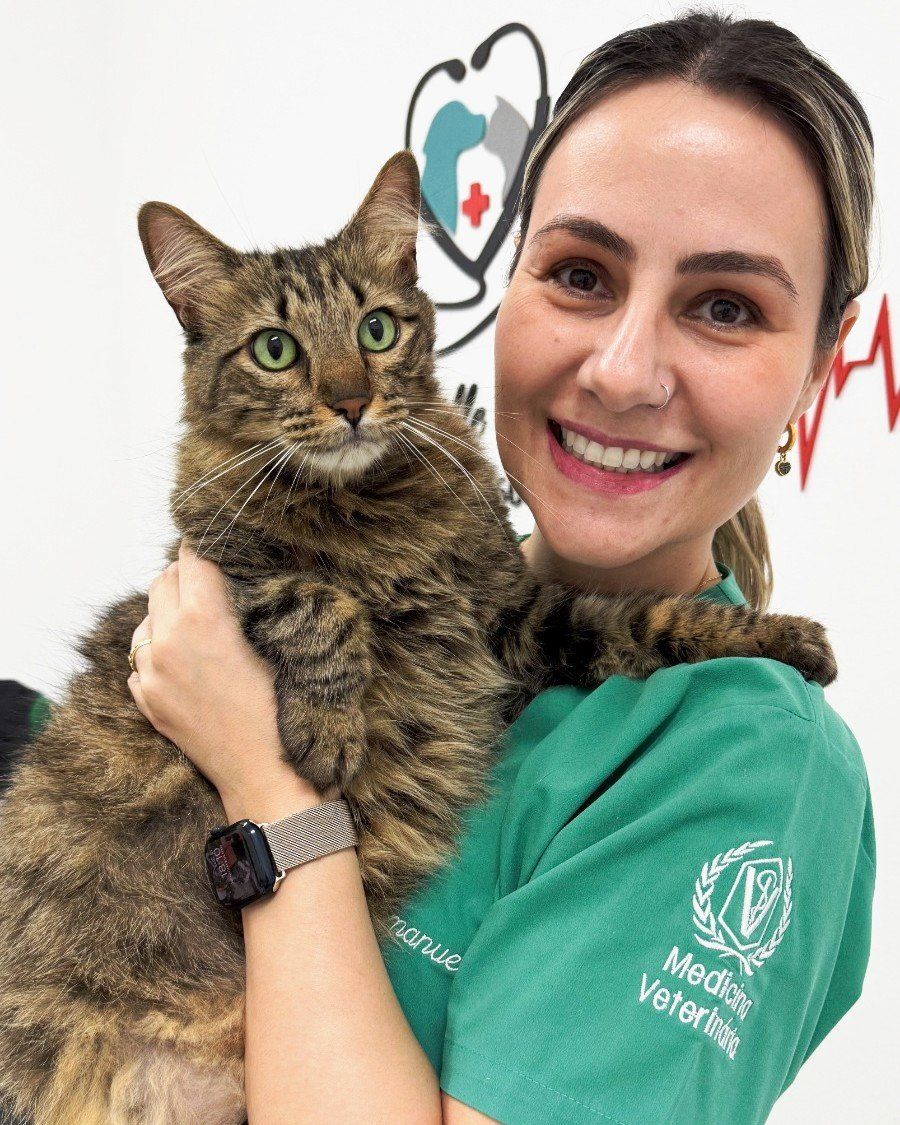 Médica veterinária do Centro Médico Veterinário Le Petit com um gato tigrado no colo